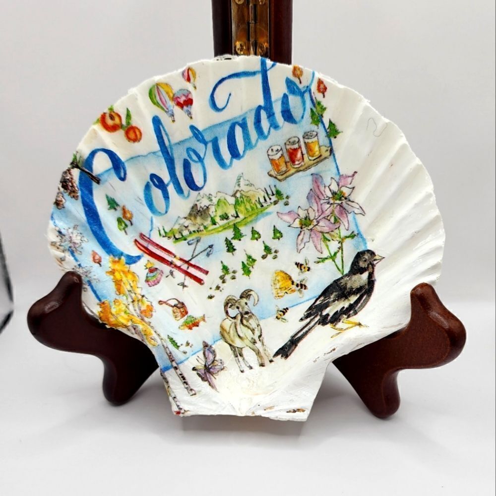 SCALLOPED FAN SHELL 